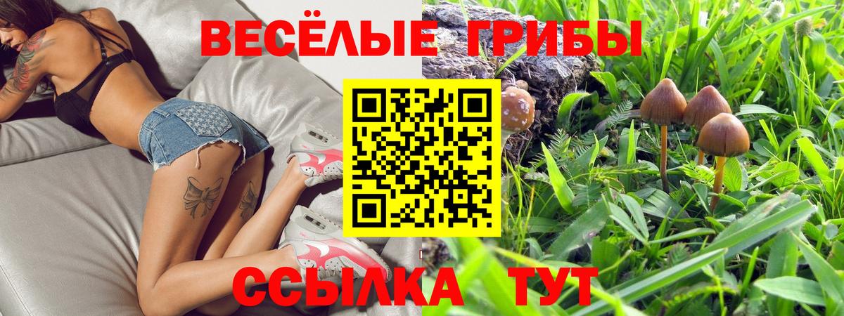 Псилоцибиновые грибы GOLDEN TEACHER  Псилоцибиновые грибы Psilocybe  Рассказово  Вход с VPN 